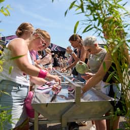 Nevelkanonnen en sponzen: maatregelen tegen hitte bij festivals en concerten